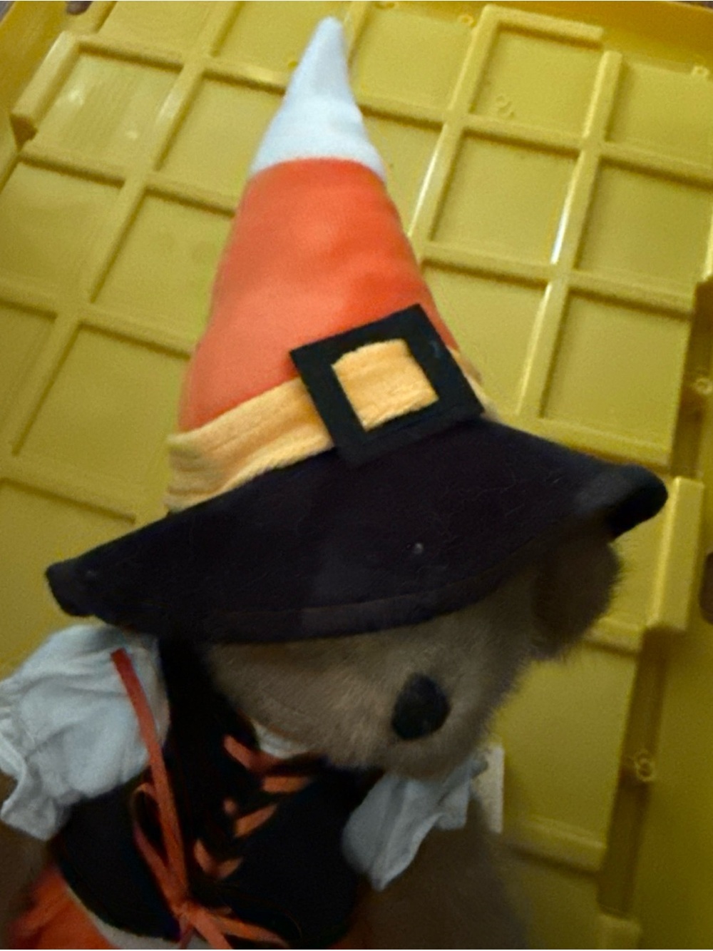Rare Brand new CiCi Candy Corn Boyds Bear Halloween Witch - Picture 6 of 6